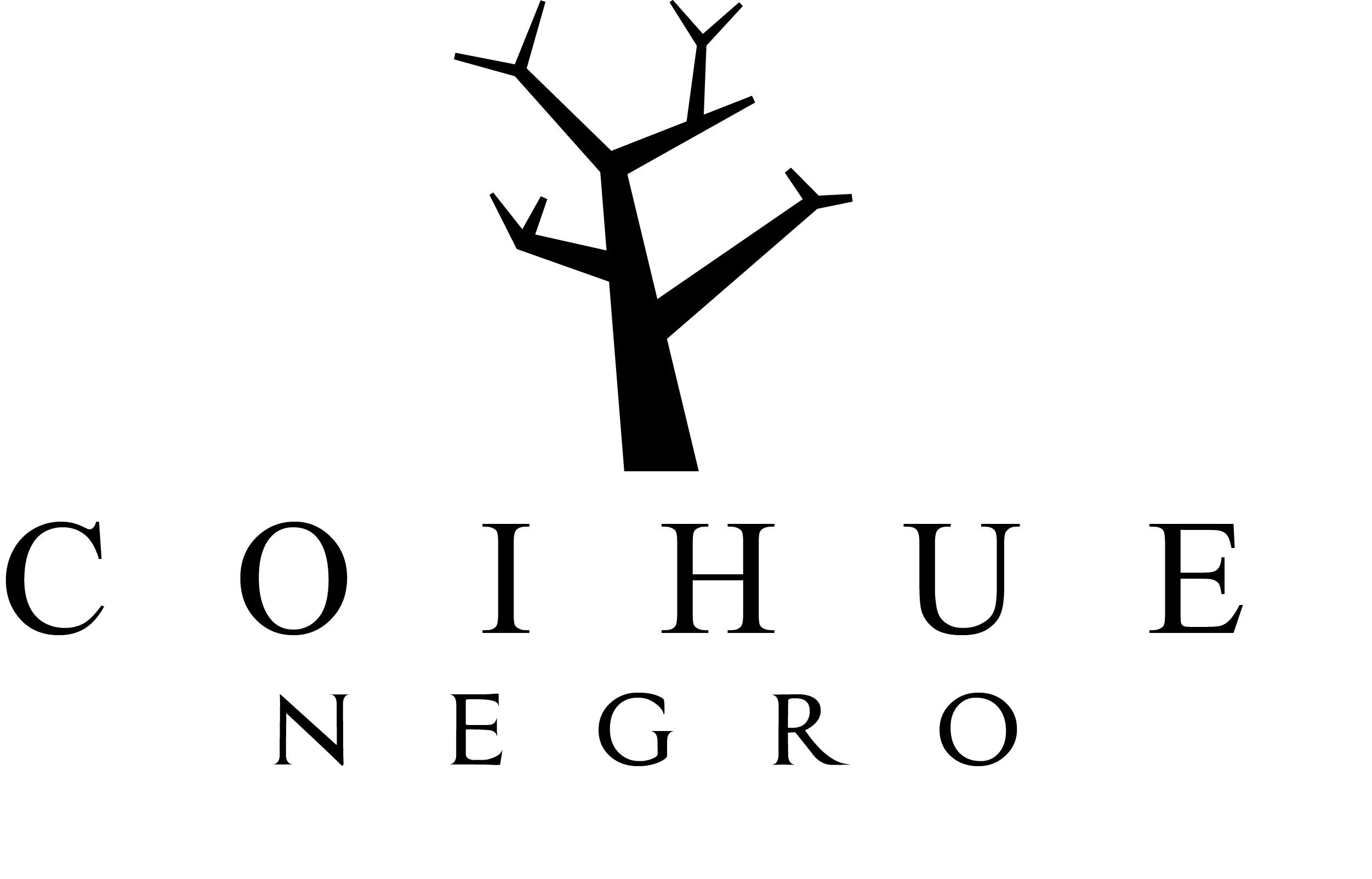 Coihue Negro