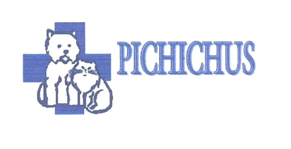 PICHICHUS