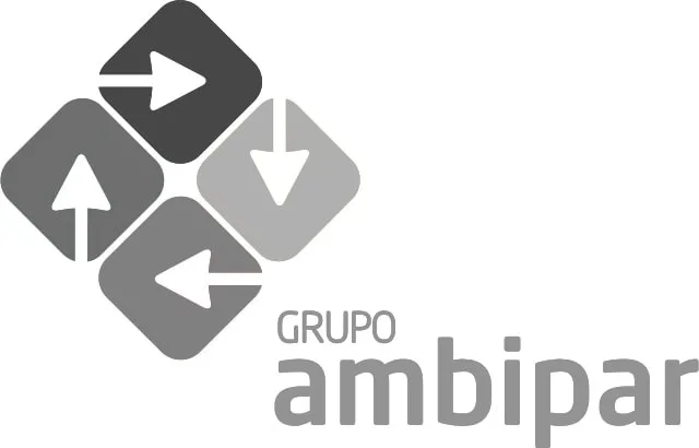 GRUPO ambipar