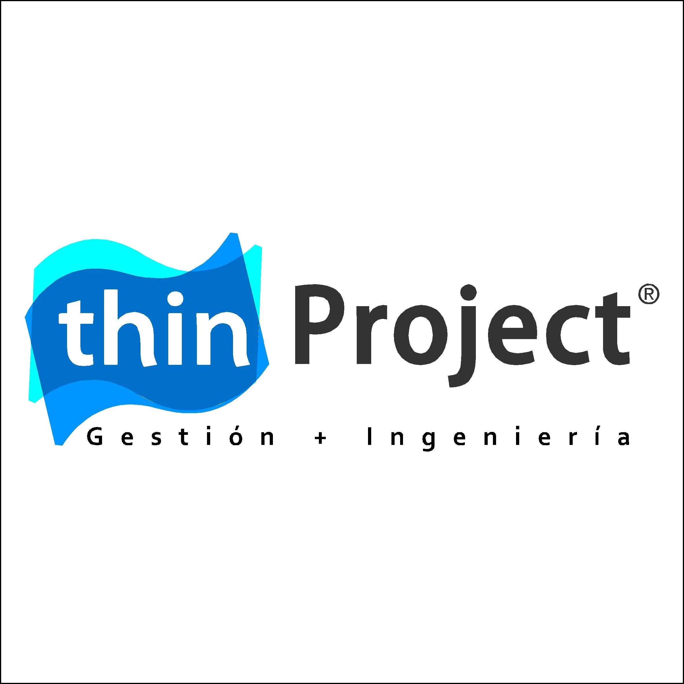 THIN PROJECT