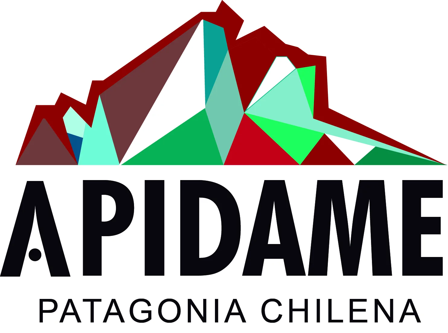 Apidame Patagonia Chilena