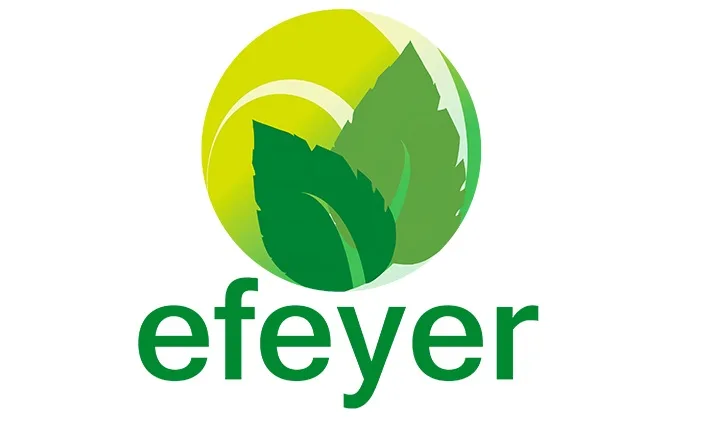 efeyer