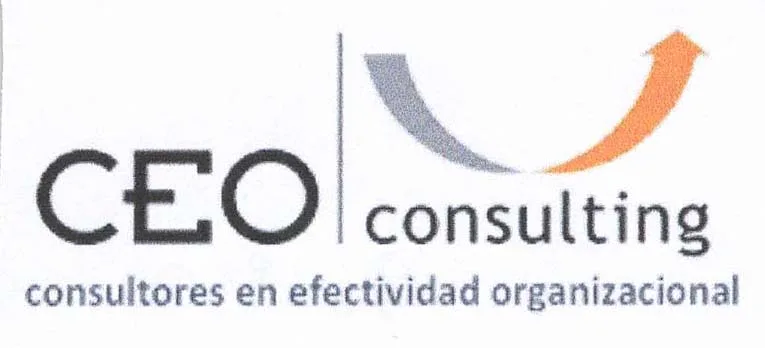 CEO CONSULTING