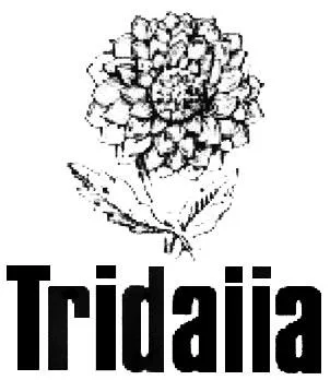 TRIDALIA