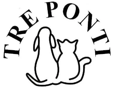 TRE PONTI