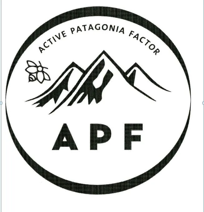 ACTIVE PATAGONIA FACTOR APF