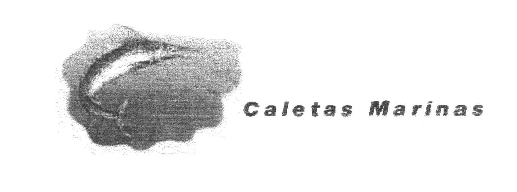 CALETAS MARINAS