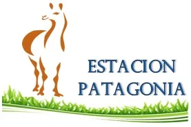 estacion patagonia