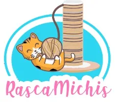 Rascamichis