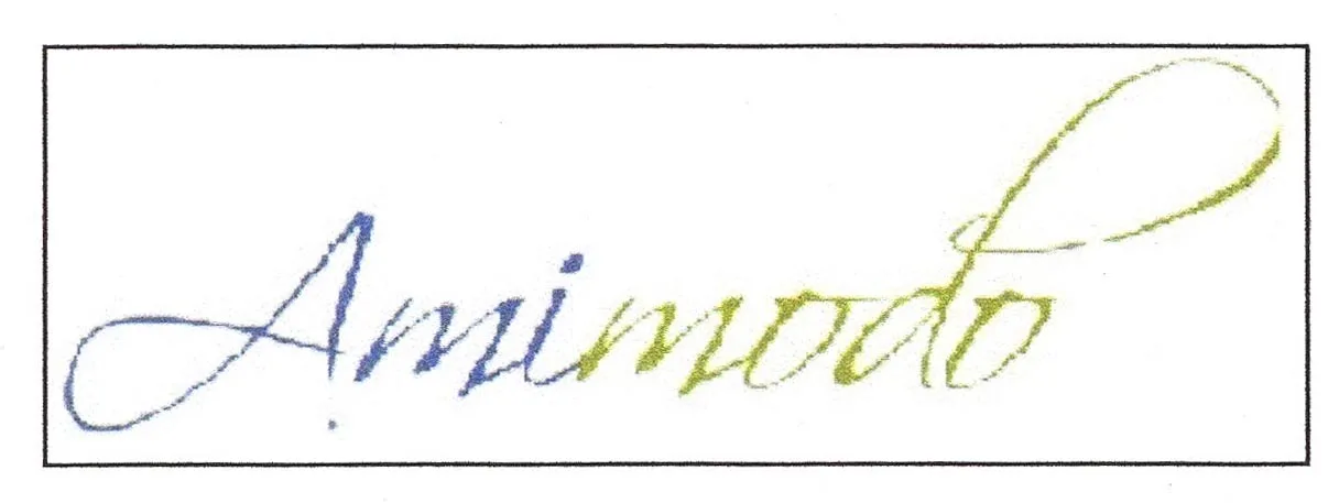 AMIMODO