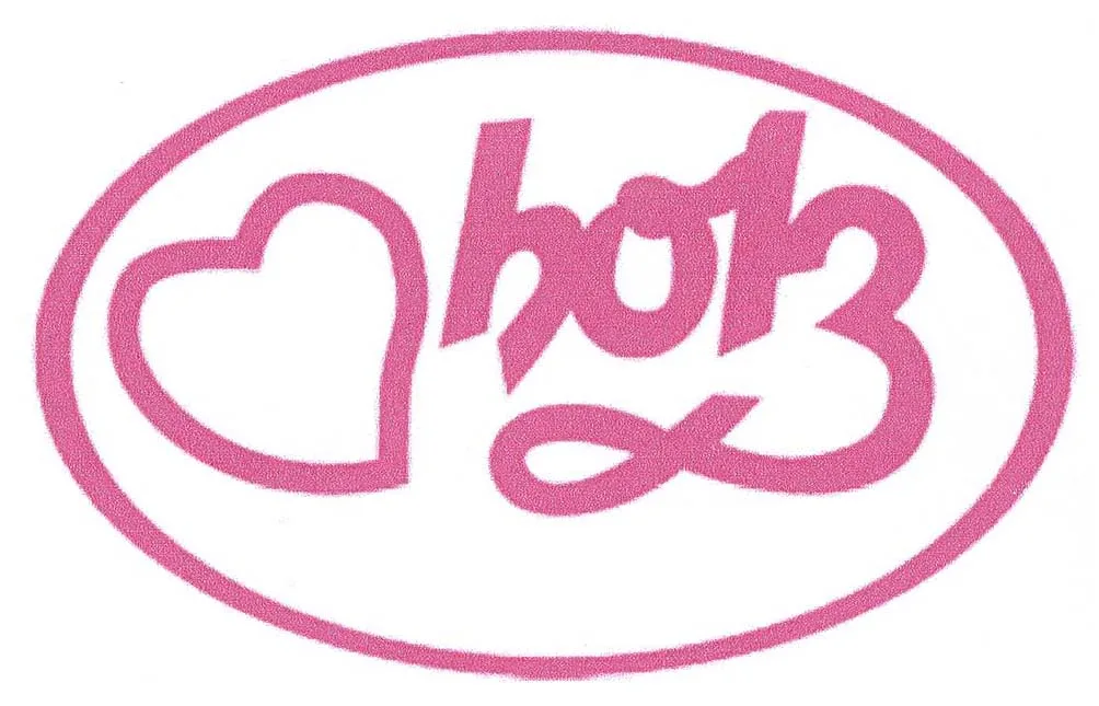 HOLZ