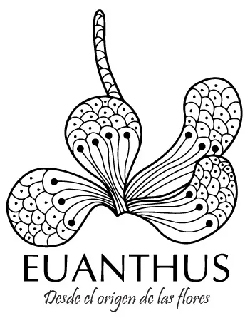 EUANTHUS DESDE EL ORIGEN DE LAS FLORES