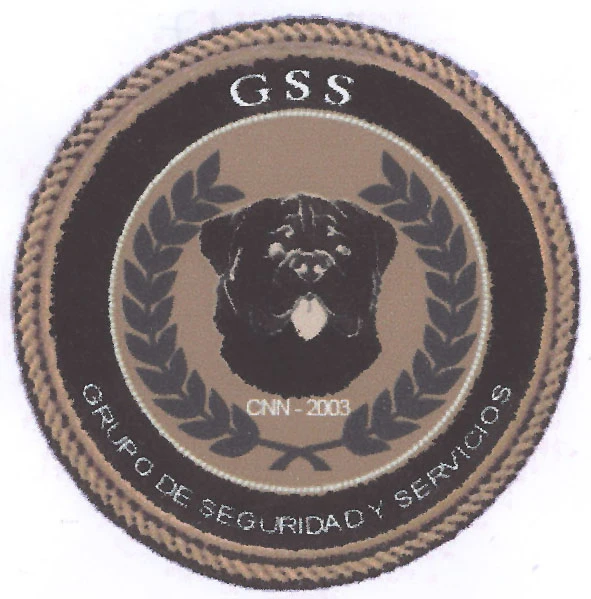 GSS GRUPO DE SEGURIDAD Y SERVICIOS