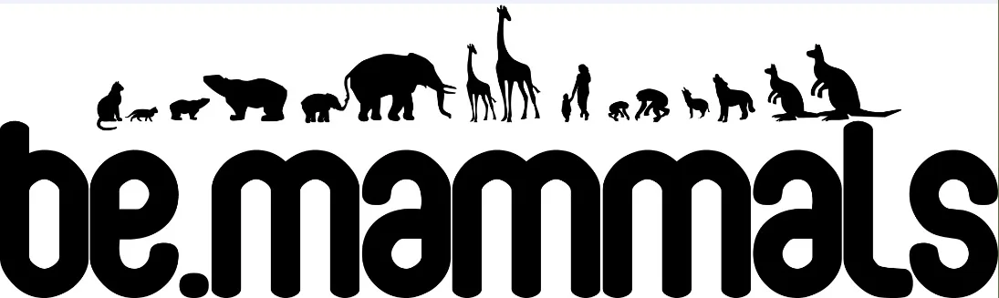 BE.MAMMALS