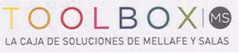 TOOLBOX MS LA CAJA DE SOLUCIONES DE MELLAFE Y SALAS