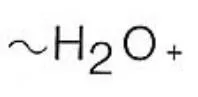 H2O +