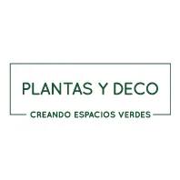 PLANTAS Y DECO CREANDO ESPACIOS  VERDES
