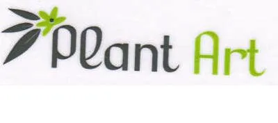 PLANT ART