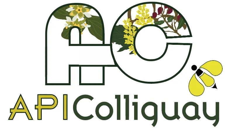 AC API COLLIGUAY