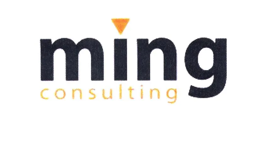 MING CONSULTING