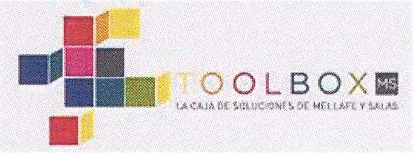 TOOLBOX MS LA CAJA DE SOLUCIONES DE MELLAFE Y SALAS