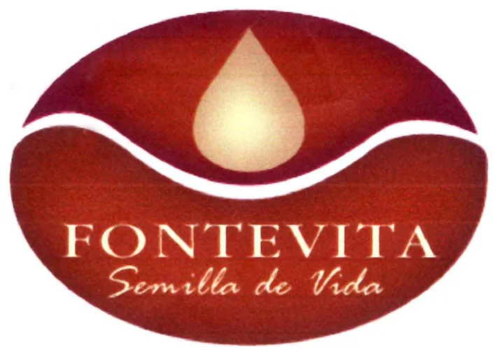 FONTEVITA