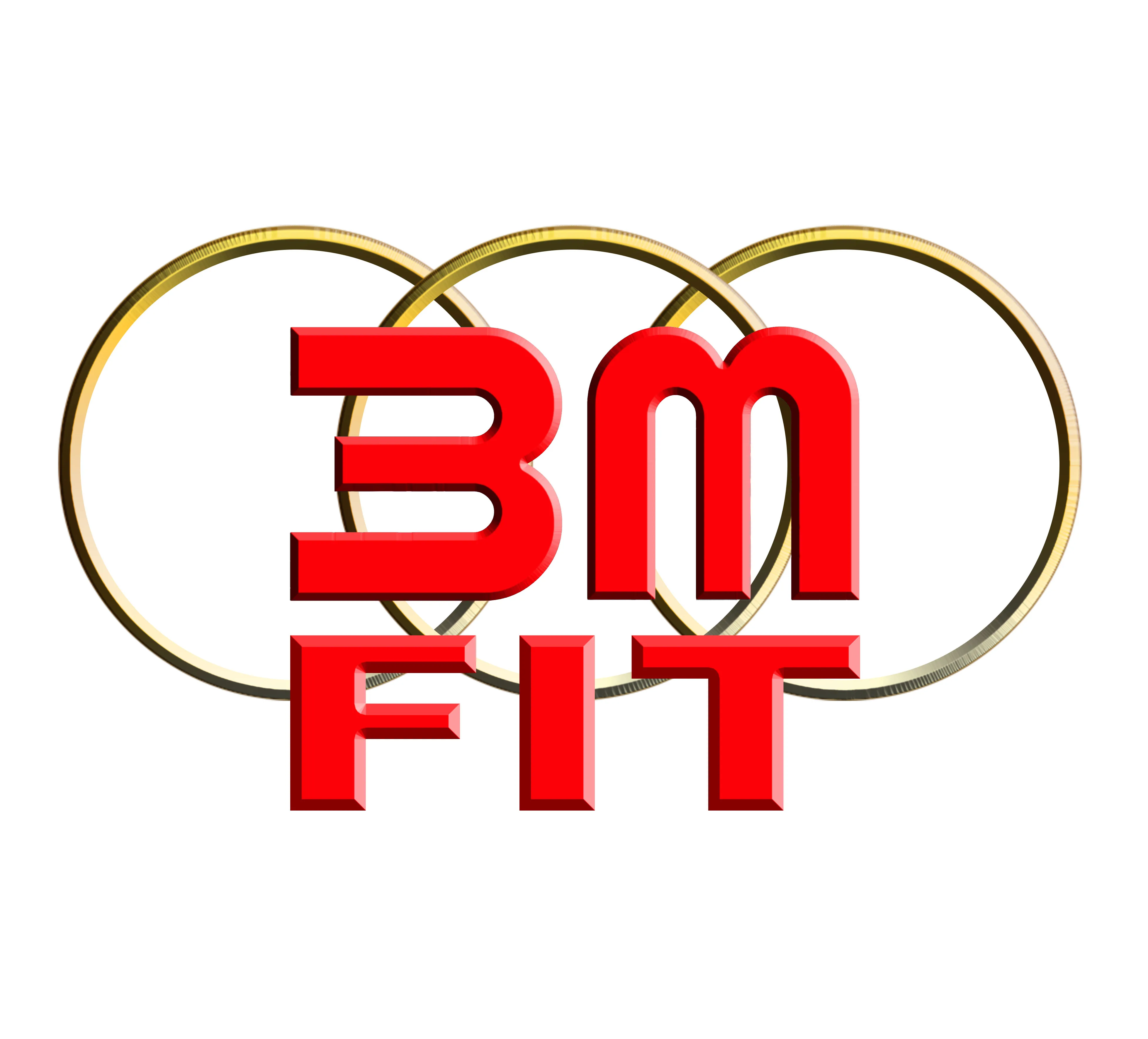 3M FIT