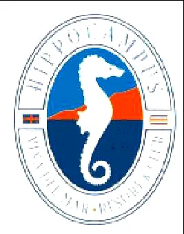 HIPPOCAMPUS