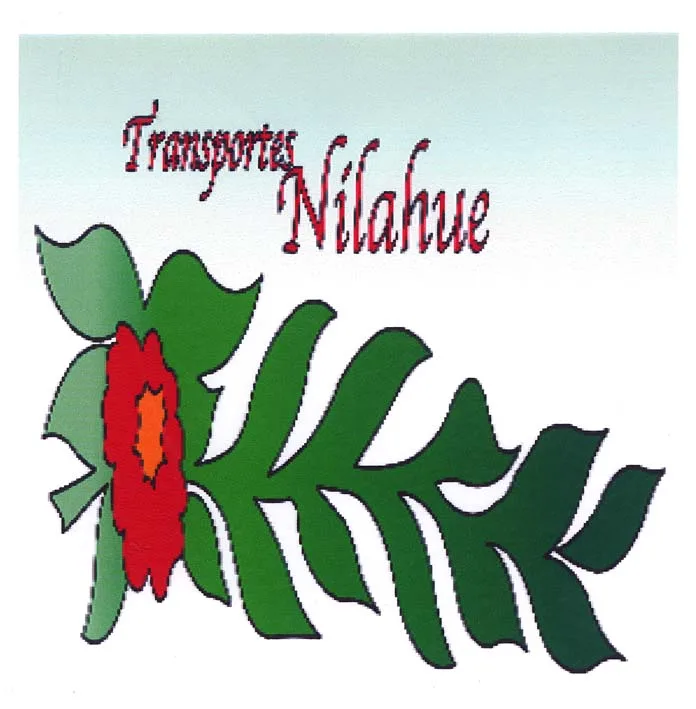 TRANSPORTES NILAHUE