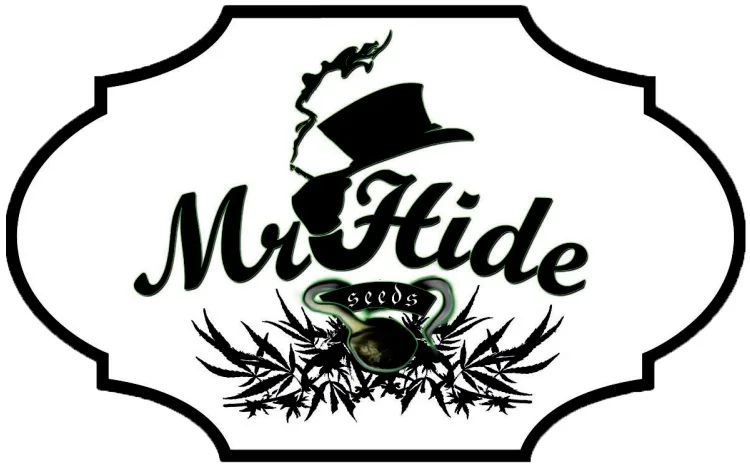 Mr Hide Seeds