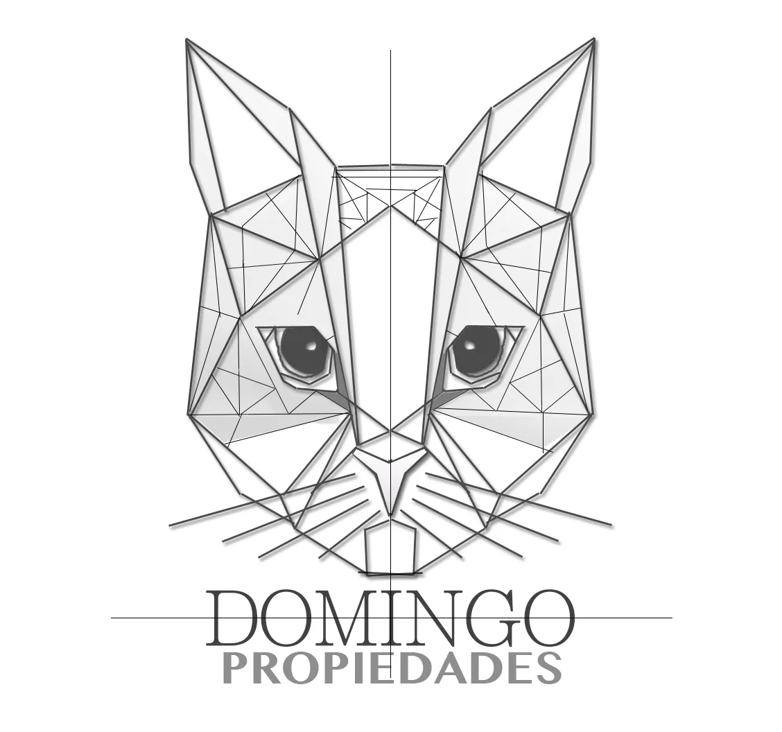 Domingo Propiedades