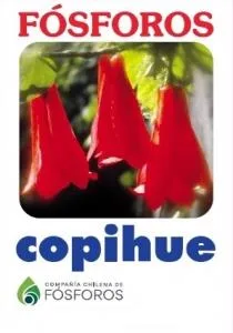 copihue
