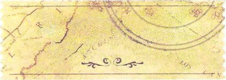 Acta 893951