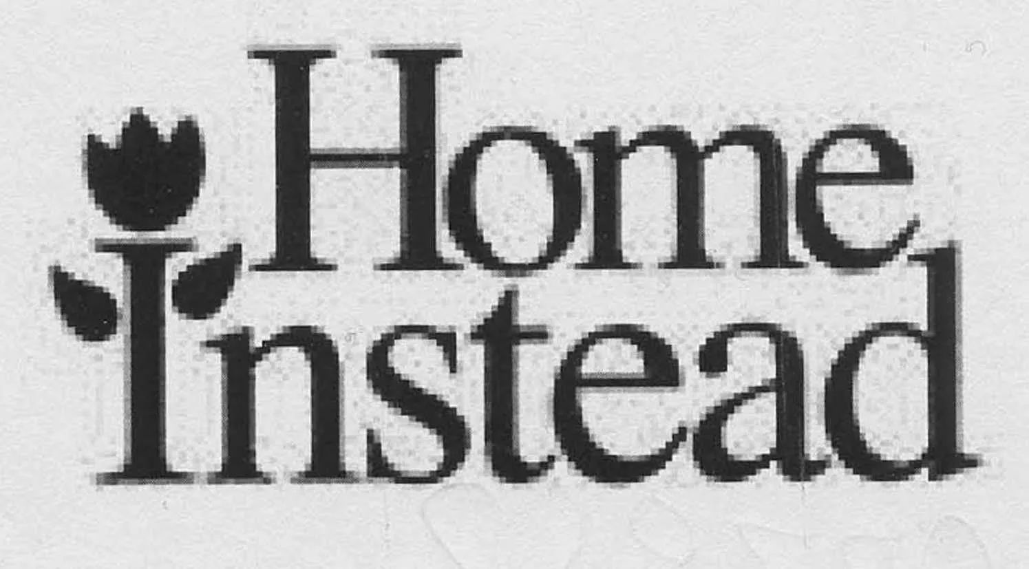 HOME INSTEAD