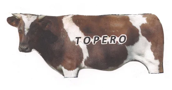 TOPERO