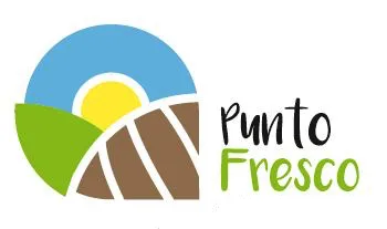 PUNTO FRESCO
