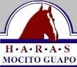 HARAS MOCITO GUAPO