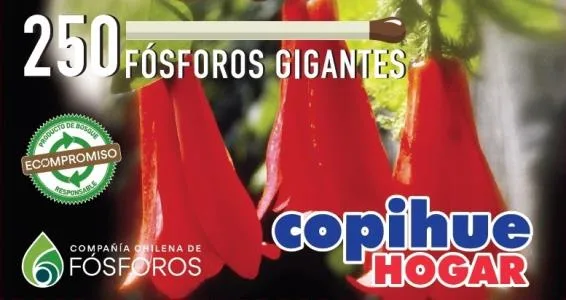 copihue HOGAR ECOMPROMISO
