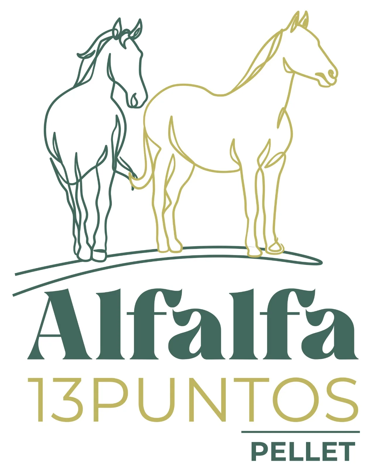 Alfalfa 13 Puntos