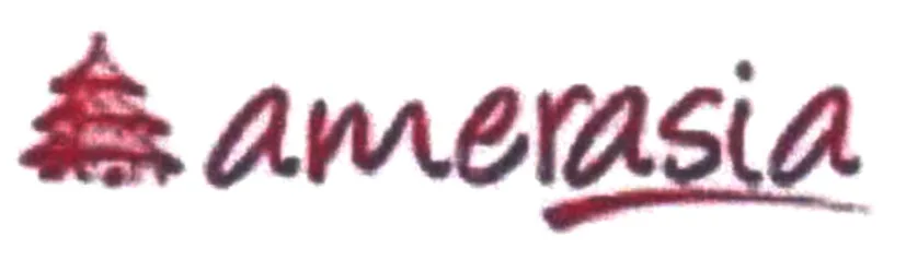 AMERASIA