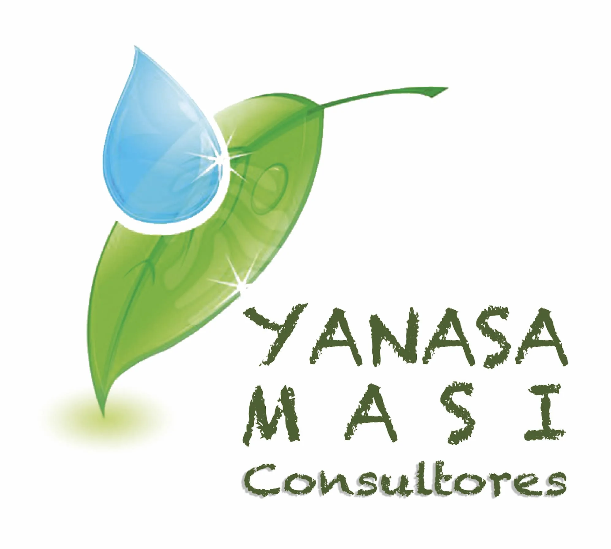 YANASA MASI CONSULTORES