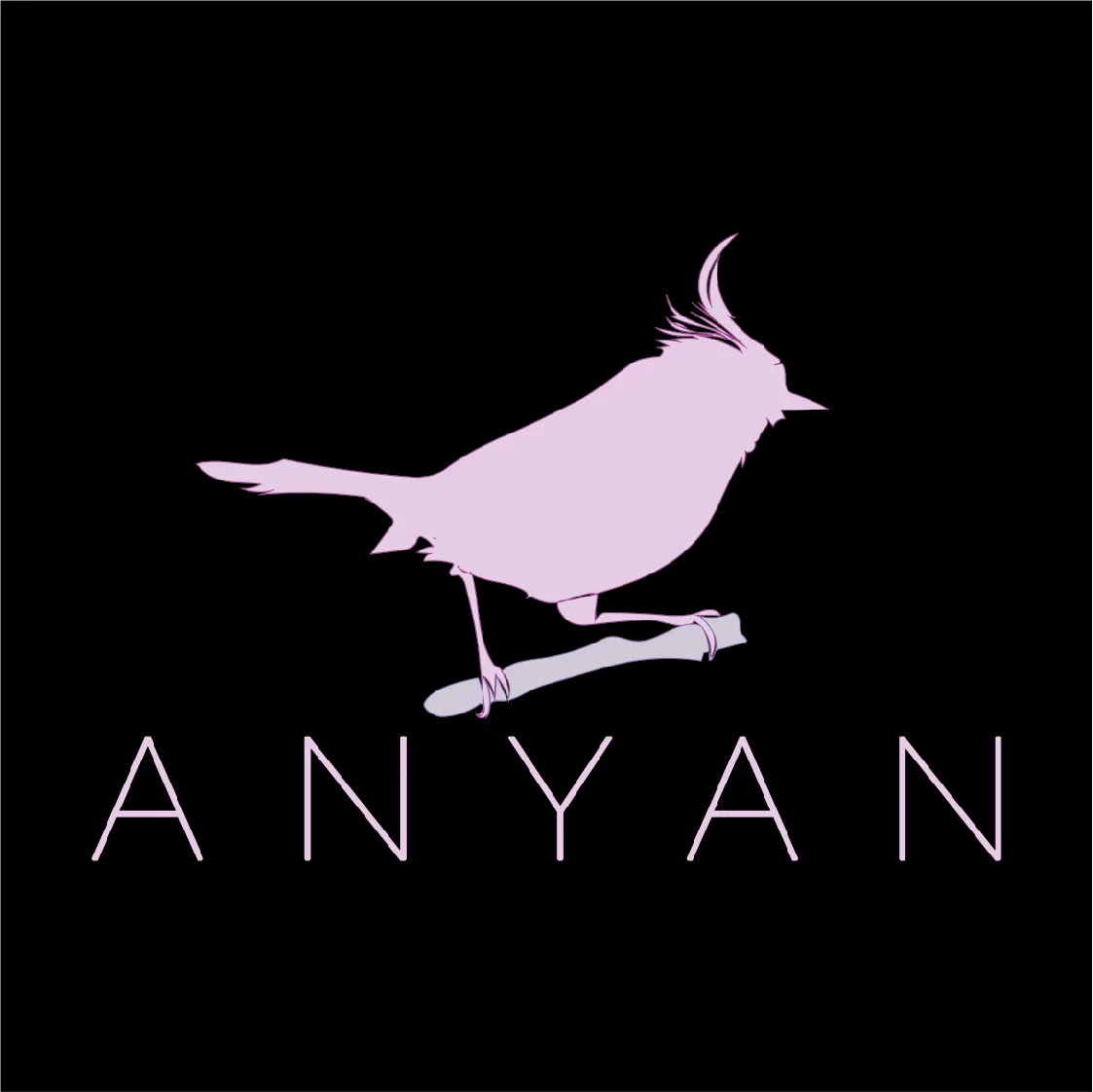 Anyan