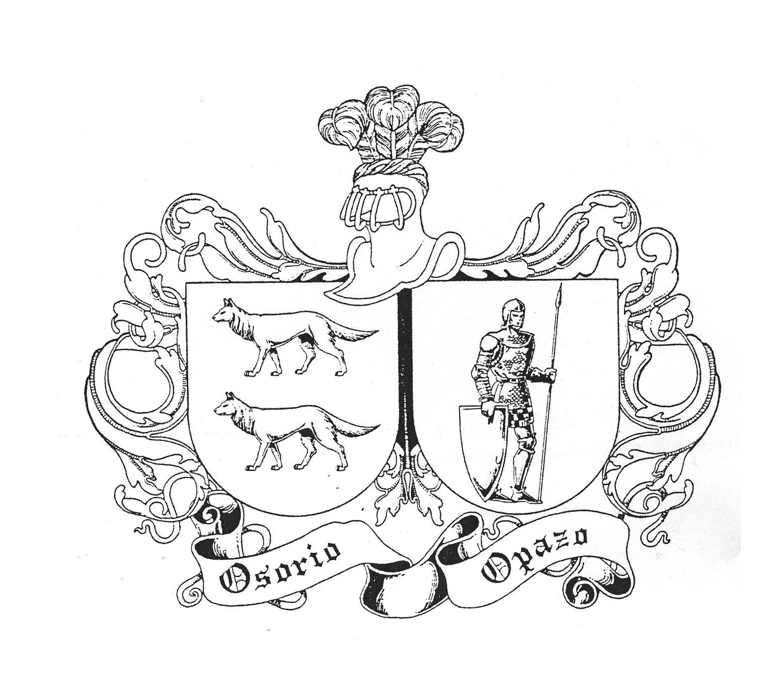 OSORIO OPAZO