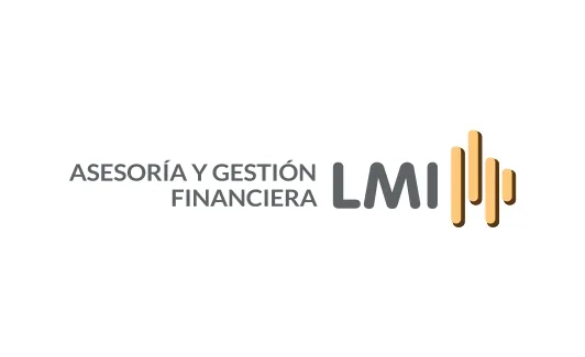 LMI ASESORIA Y GESTION FINANCIERA