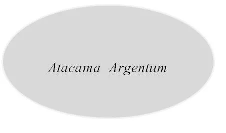 Atacama Argentum