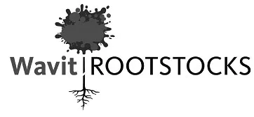 WAVIT ROOTSTOCKS