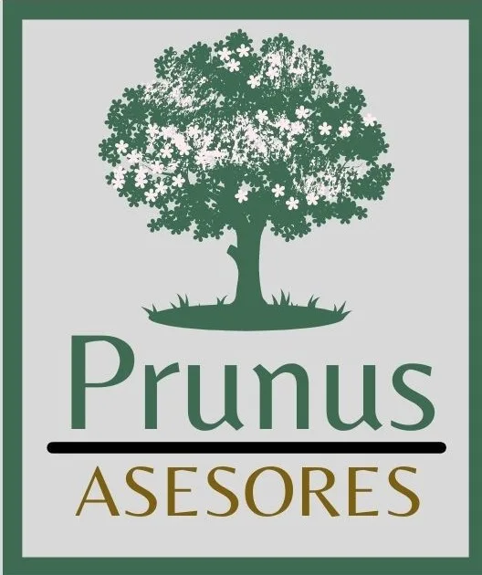 Prunus Asesores