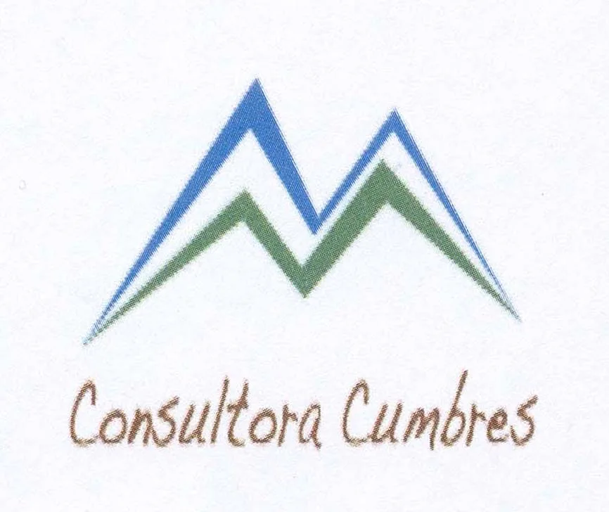 CONSULTORA CUMBRES
