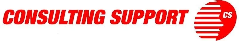 CONSULTING SUPPORT CS