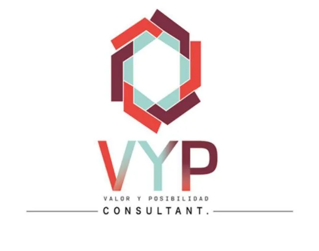 VYP VALOR Y POSIBILIDAD CONSULTANT